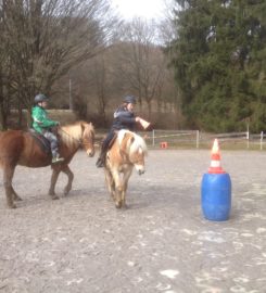 Pony und Reiterhof Mai